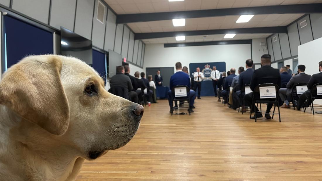 OSI Dog Ragnar over looks a swearing in ceremony 